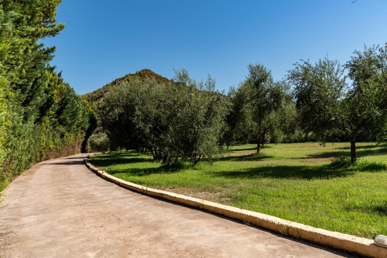 Anilio Plaza Aparthotel Zacharo Exterior photo